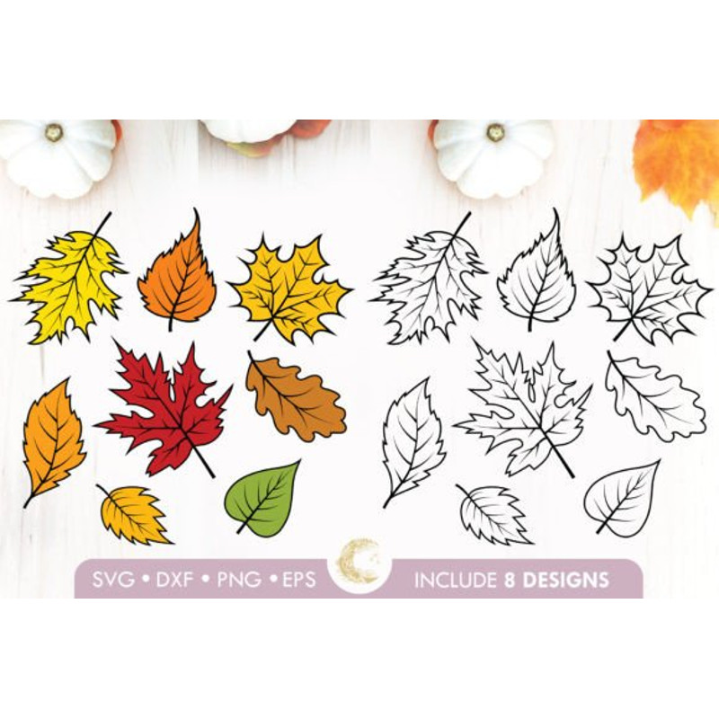 Realistic-Fall-Leaves-Bundle-Svg-Graphics-72052013-1-1-580x387.jpg
