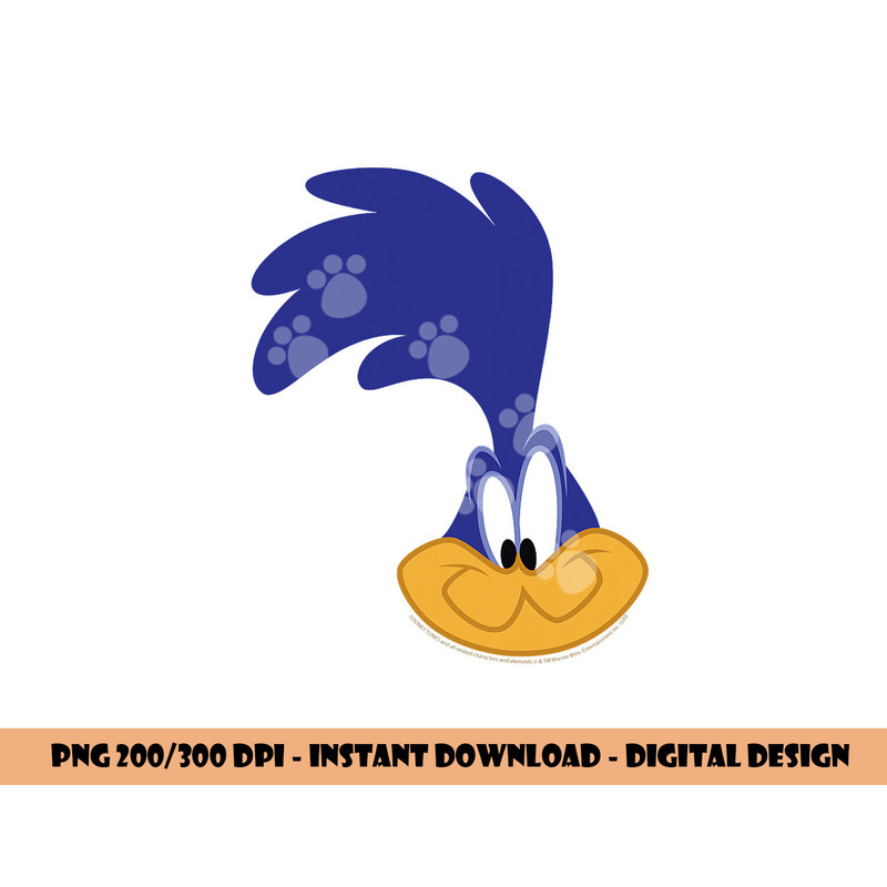 Looney Tunes Road Runner Big Face  png, sublimation .jpg