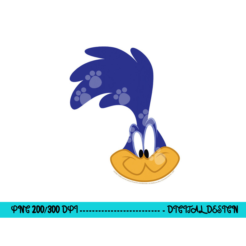 Looney Tunes Road Runner Big Face png, sublimation .jpg