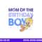 Looney Tunes Tweety Mom Of The Birthday Boy png, sublimation .jpg