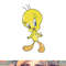 Looney Tunes Tweety Sassy Poster png, sublimation .jpg
