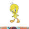 Looney Tunes Tweety Sassy Poster png, sublimation .jpg