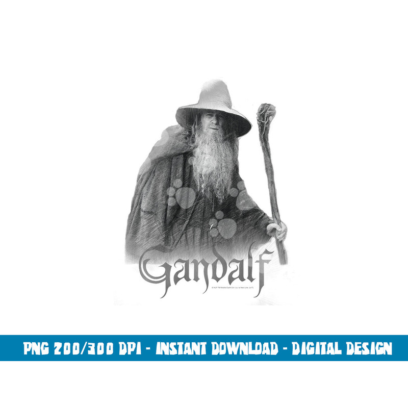 Lord of the Rings Gandalf the Grey Longsleeve T Shirt Long Sleeve png, sublimation .jpg