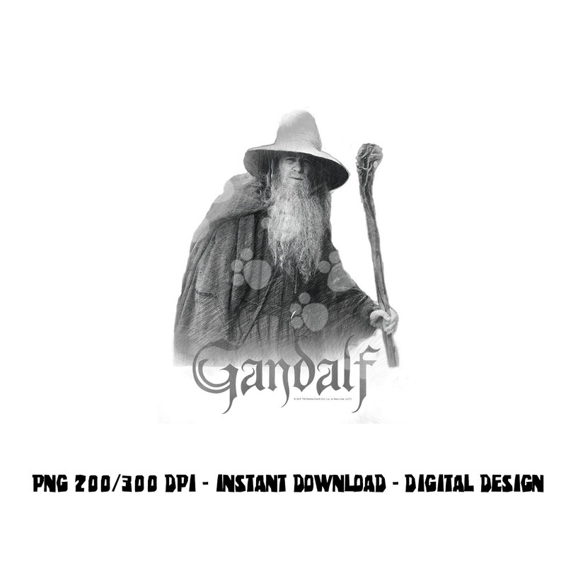 Lord of the Rings Gandalf the Grey Longsleeve T Shirt Long Sleeve png, sublimation .jpg