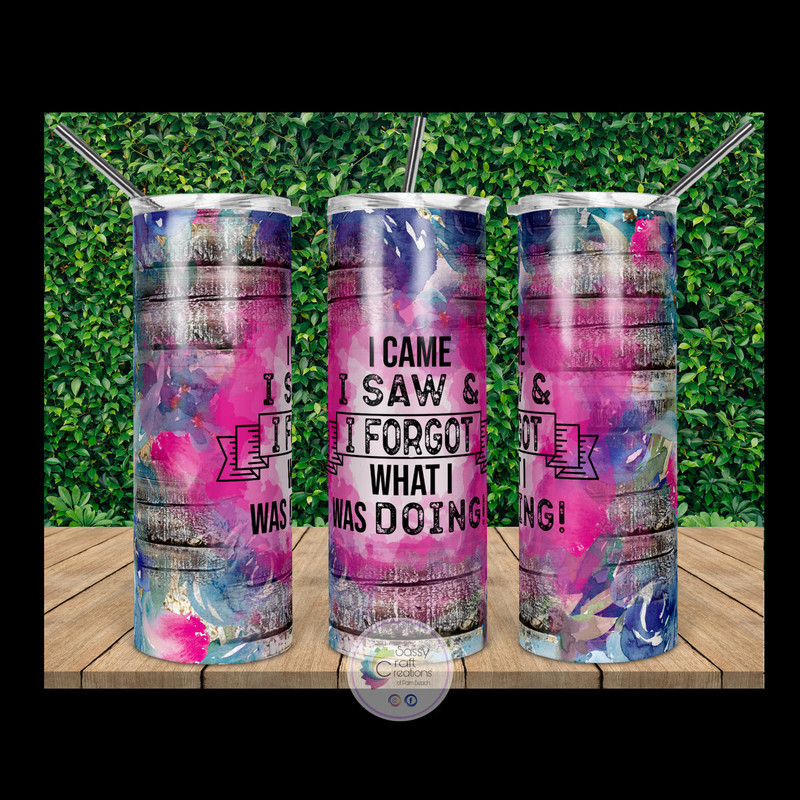 I Came, I Saw & I Forgot What I Was Doing Tumbler, I Came, I Saw & I Forgot What I Was Doing 20oz Skinny Tumbler, I Came, I Saw & I Forgot What I Was Doing 30oz