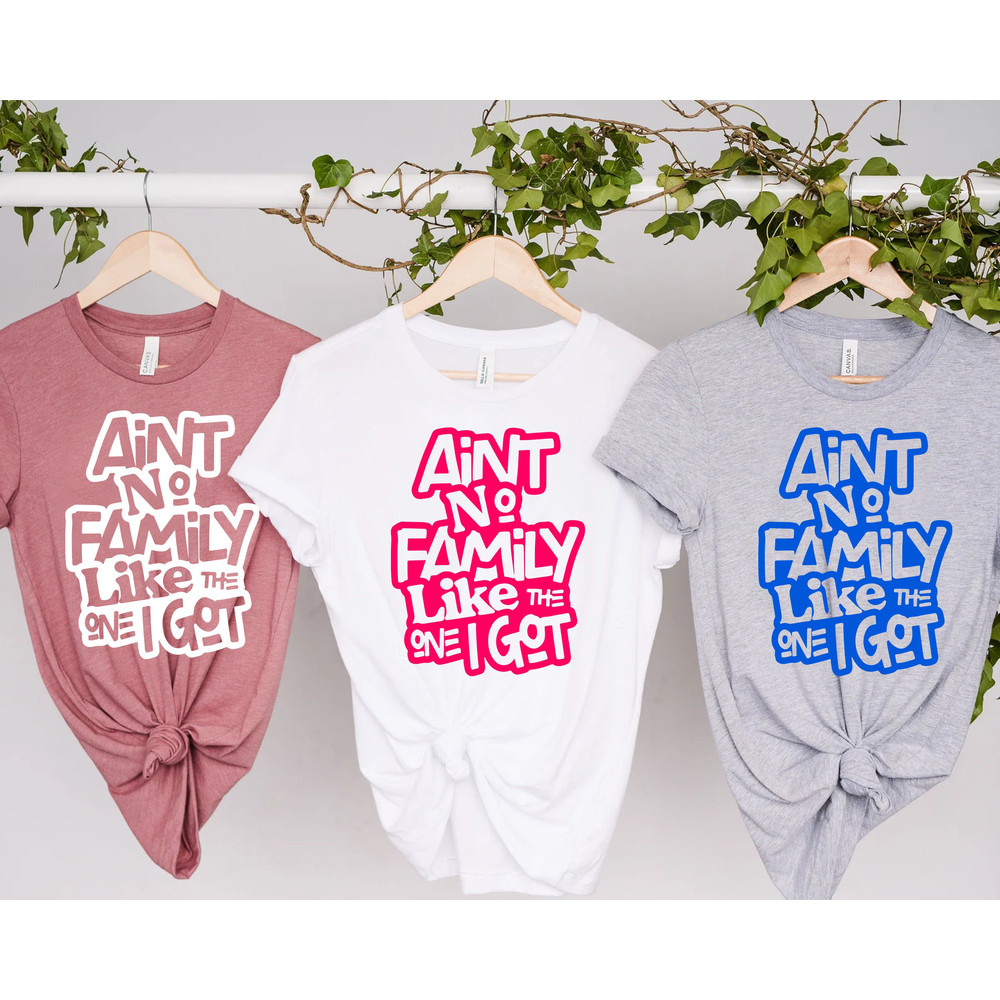 Ain't No Family Like The One Got, Family Shirts, Gathering Gift, Reunion Shirt, Matching Family Tshirt, Vacation T-Shirt, Best Friend Shirts - 1.jpg