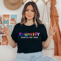 equality hurts no one,  equality sweatshirt,  les
