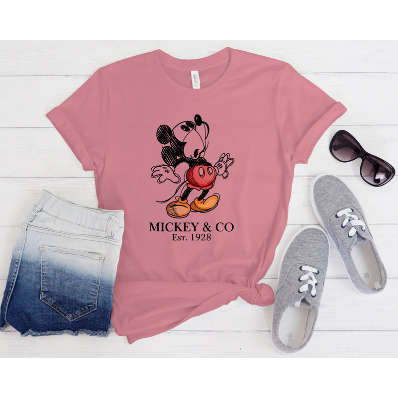 Vintage Walt Disney World Est 1971 Shirt, Mickey and Co Shirt, Disneyworld Est 1971 Shirt, Disney Family Shirt, Disneyworld shirts - 6.jpg