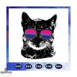 bisexual gay pride cat, lgbt sunglasses svg, cat svg, lgbt svg, bisexual svg, files for silhouette, files for cricut, jp