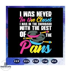 i was never in the closet svg, pansexual gifts svg, pansexual pride svg, pansexual pans svg, pans svg, bisexual svg, lgb