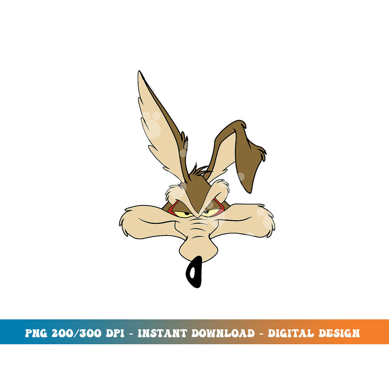 Wile E. Coyote png, sublimation.jpg