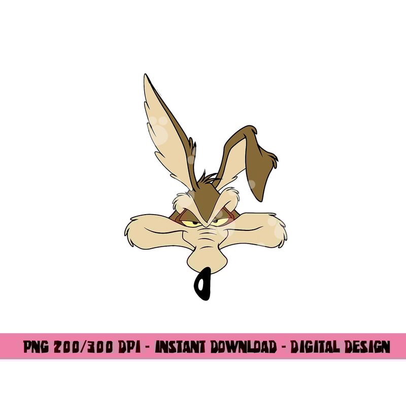 Wile E. Coyote png, sublimation .jpg
