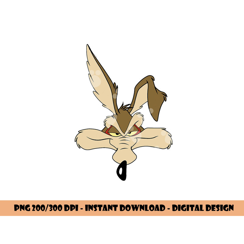 Wile E. Coyote  png, sublimation .jpg
