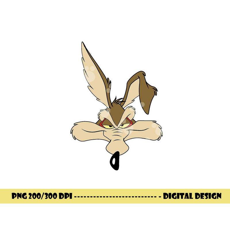 Wile E. Coyote png, sublimation .jpg