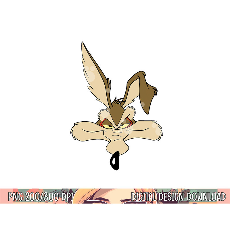 Wile E. Coyote png, sublimation .jpg