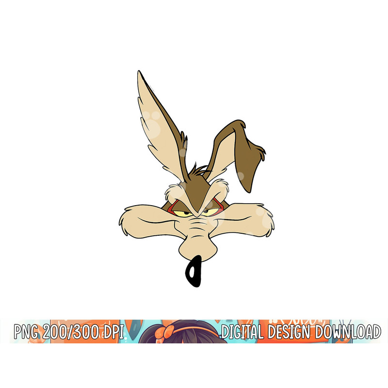 Wile E. Coyote png, sublimation .jpg