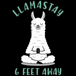 llamastay 6 feet away hooded sweatshirt
