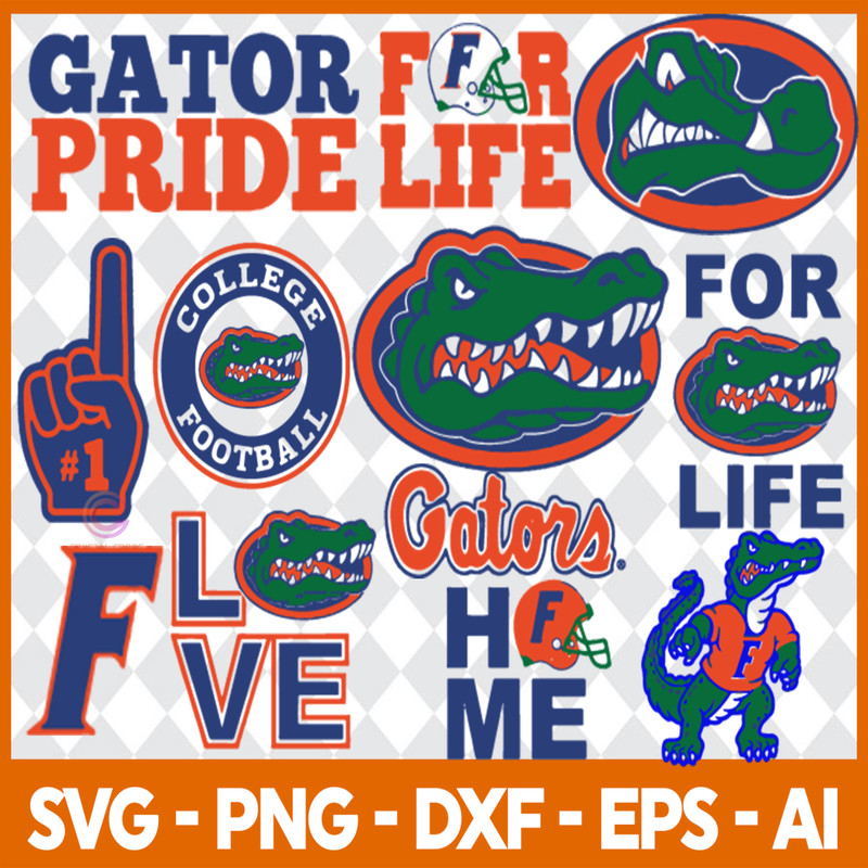 Florida Gators 1.jpg
