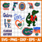 Florida Gators.jpg