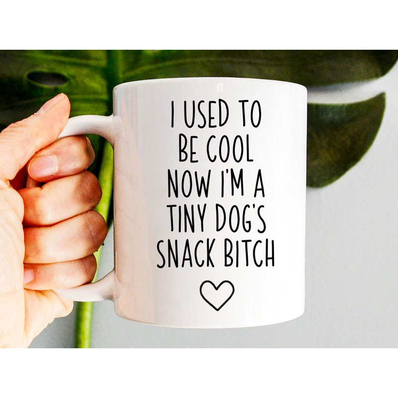 I Used To Be Cool Now I'm A Tiny Dog's Snack Bitch, Dog Mom Mug, Funny Gift For Mom, Funny New Mom Coffee Mug, Mothers Day Gift Dog Lover - 1.jpg