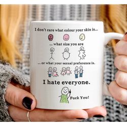 i dont care what colour your skin is what size you are funny mug, i have everyone mug