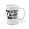 New Mexico Is Calling I Must Go Coffee Mug Microwave and Dishwasher Safe Ceramic Cup Moving To New Mexico Tea Hot Chocolate Gift Mug - 10.jpg