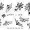 Spiders-and-spider-web-bundle-svg-Graphics-65175436-1-1-580x387.jpg