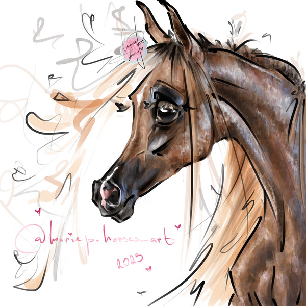Light chestnut Arabian Horse ART commission custom original equine artist illustration pet portrait realistic drawing personalized painting equestrian gift artw