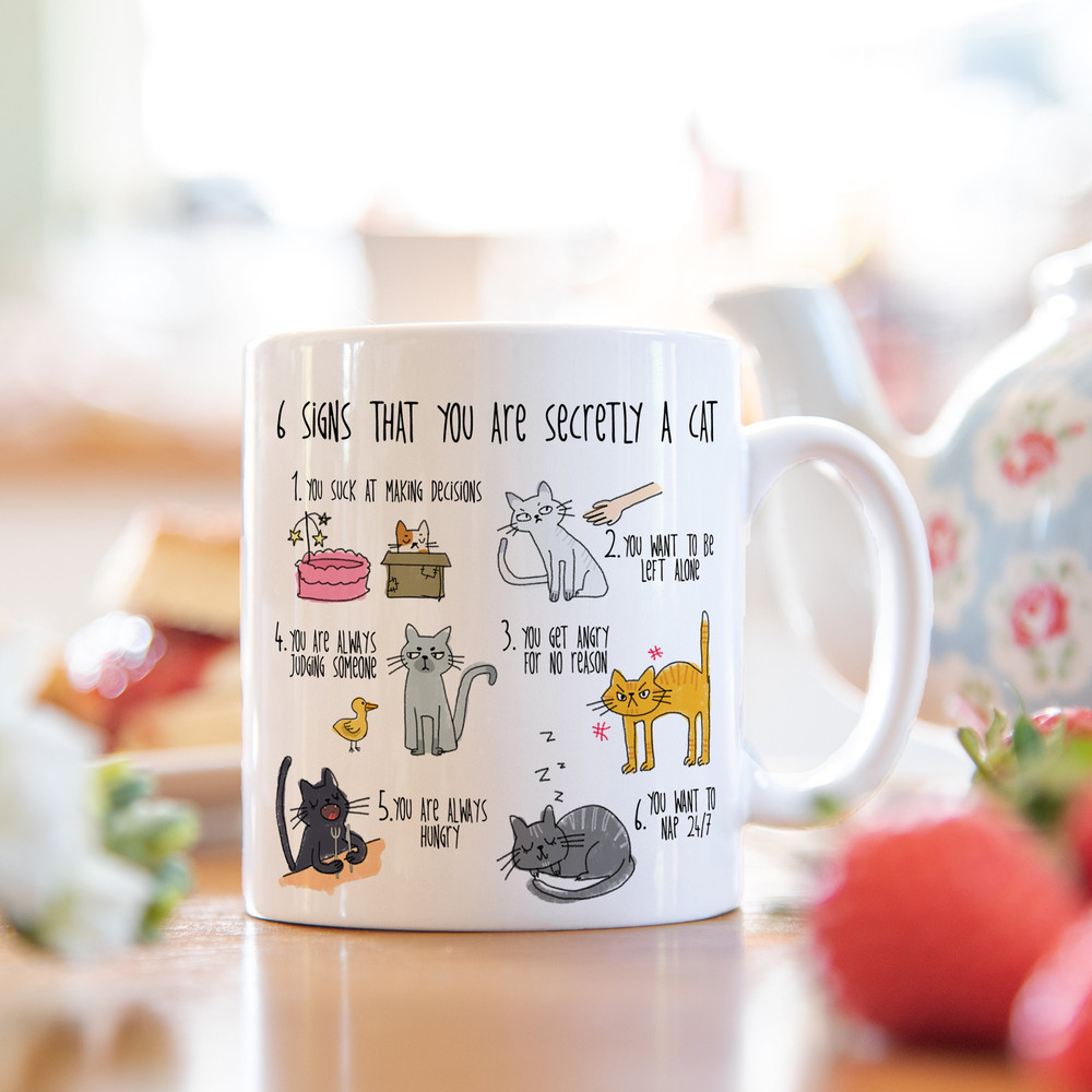 Six signs that you are secretly a cat crazy cat lady mug cat mug gifts for cat lovers Cat Lover Gift Mug mg2aa - 1.jpg