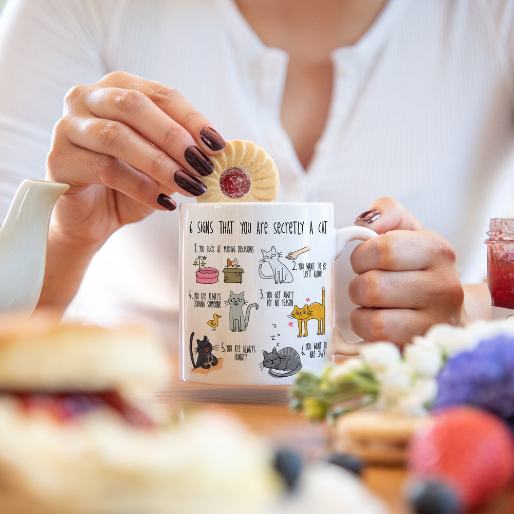 Six signs that you are secretly a cat crazy cat lady mug cat mug gifts for cat lovers Cat Lover Gift Mug mg2aa - 3.jpg