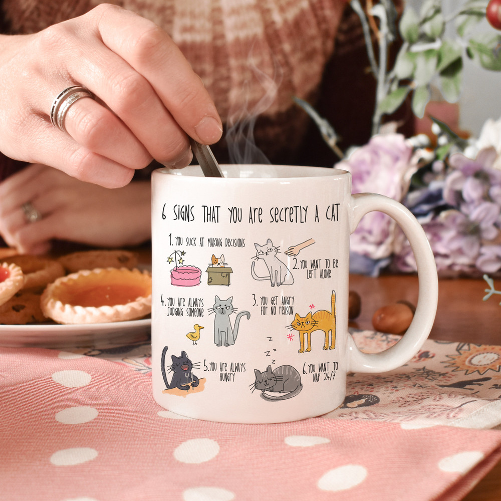 Six signs that you are secretly a cat crazy cat lady mug cat mug gifts for cat lovers Cat Lover Gift Mug mg2aa - 6.jpg