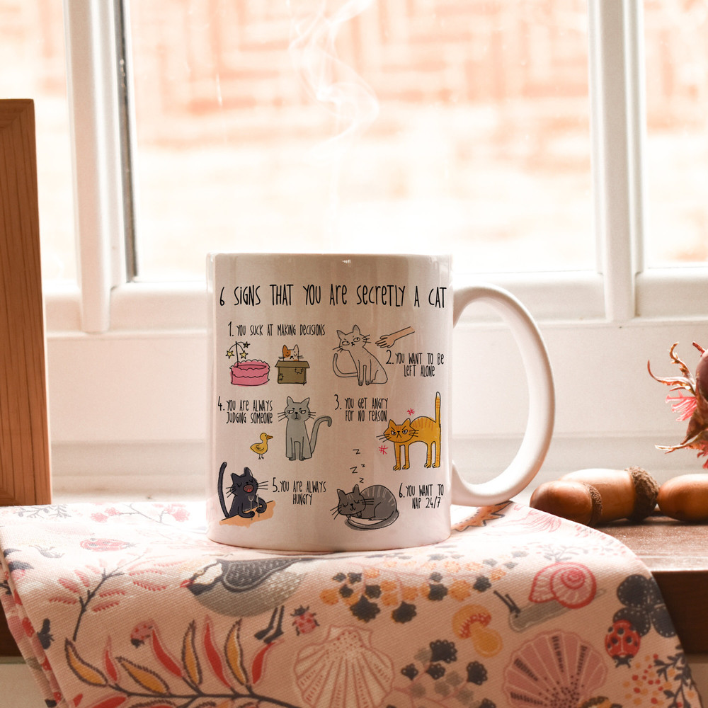 Six signs that you are secretly a cat crazy cat lady mug cat mug gifts for cat lovers Cat Lover Gift Mug mg2aa - 7.jpg
