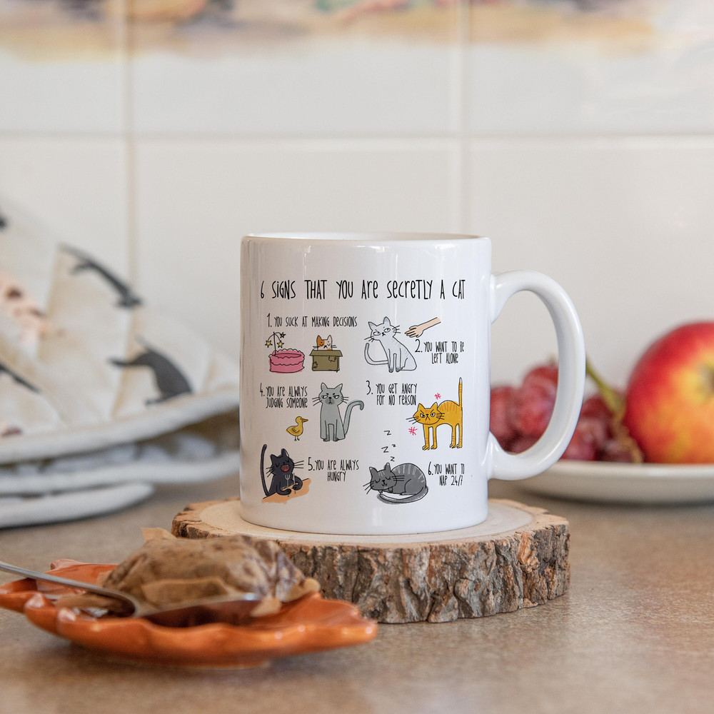 Six signs that you are secretly a cat crazy cat lady mug cat mug gifts for cat lovers Cat Lover Gift Mug mg2aa - 8.jpg