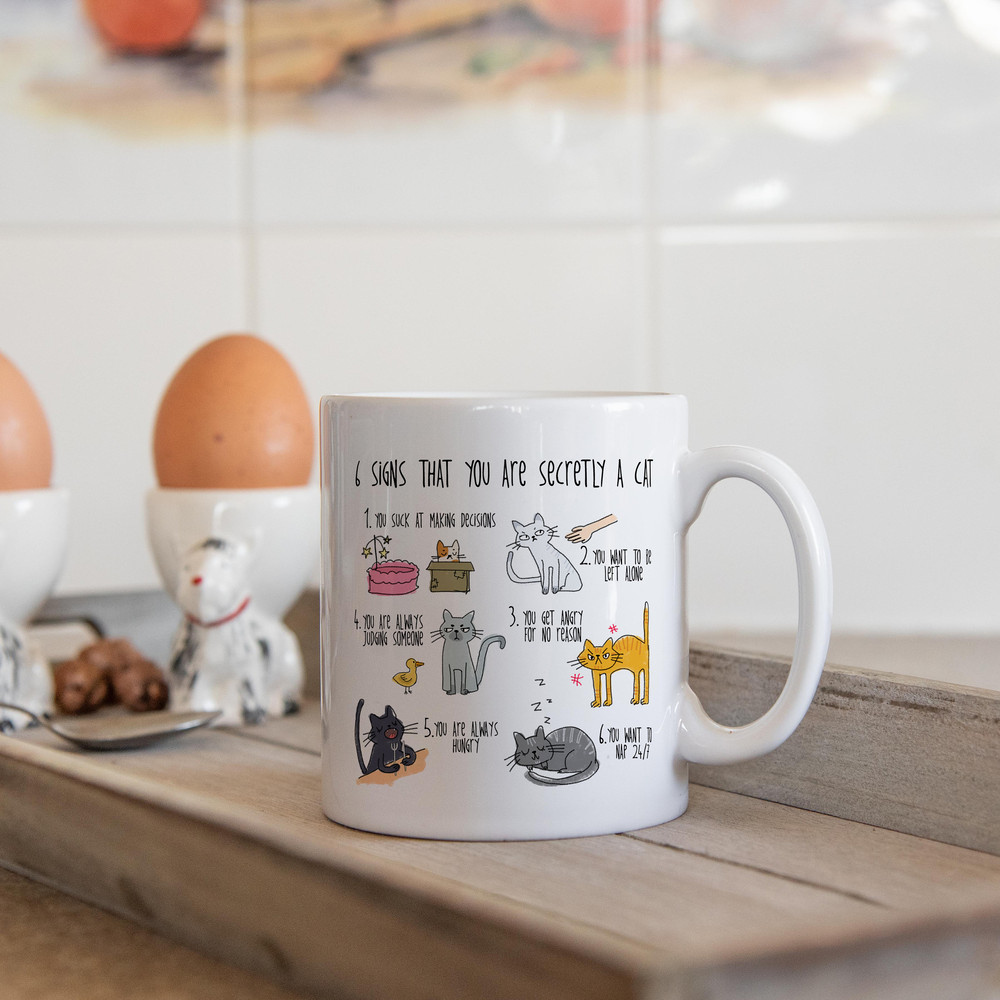 Six signs that you are secretly a cat crazy cat lady mug cat mug gifts for cat lovers Cat Lover Gift Mug mg2aa - 9.jpg