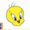 Looney Tunes Tweety Bird Big Face png, sublimation, digital download.jpg