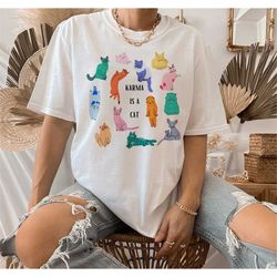 swiftie karma cat, the eras tour cat version shirt, taylor shirt, swift shirt, taylor swift cat shirt, eras tour gift, s