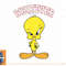 Looney Tunes Tweety Whatever Mad Face png, sublimation, digital download.jpg
