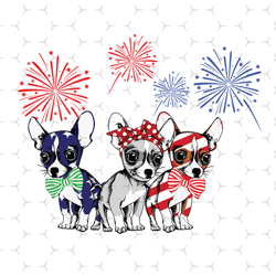 chihuahua fireworks svg, independence svg, 4th of july svg, chihuahua svg, independence dog svg, july 4th chihuahua