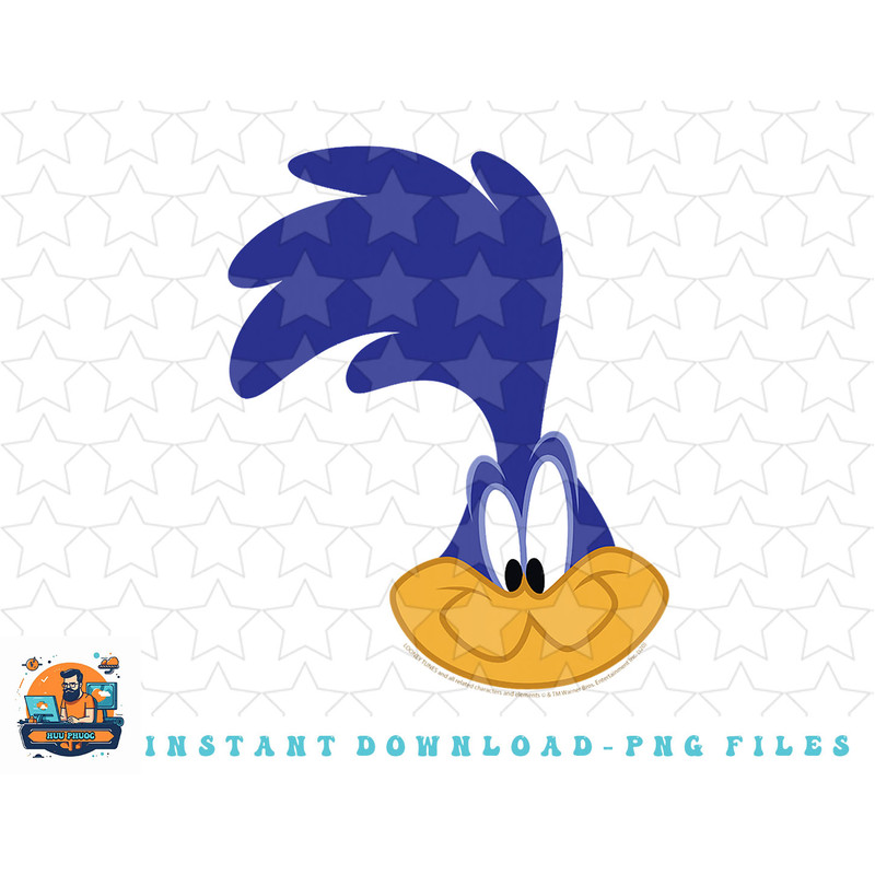 Looney Tunes Road Runner Big Face png, sublimation, digital download.jpg