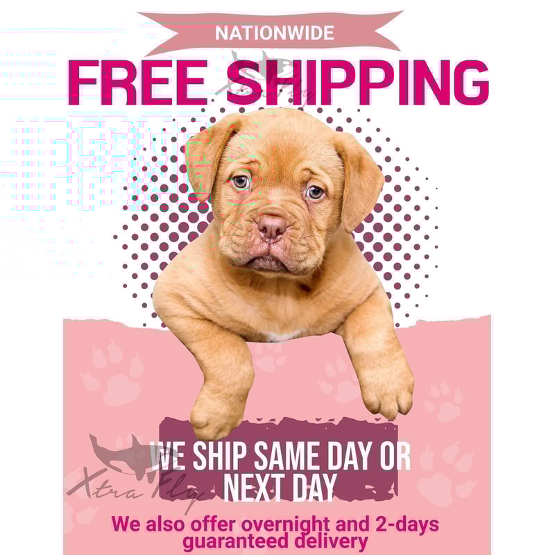 Free Shipping He's My King She's My Queen Silver Gold Crown Matching Couples Family Husband Wife Men Women Crewneck V-Neck T-shirt Black - 4.jpg