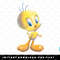 Looney Tunes Tweety Bird Airbrushed png, sublimation, digital download.jpg