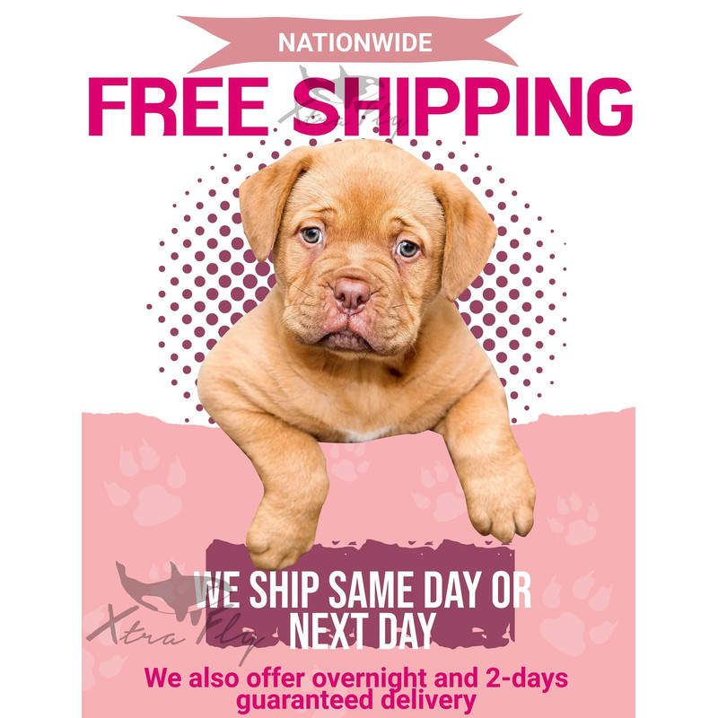 Free Shipping He's My King She's My Queen Silver Gold Crown Matching Couples Family Husband Wife Men Women Crewneck V-Neck T-shirt Black - 4.jpg