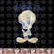 Looney Tunes Tweety Fade png, sublimation, digital download .jpg