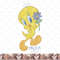 Looney Tunes Tweety Flower png, sublimation, digital download .jpg