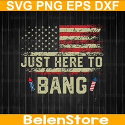 vintage i'm just here to bang svg, 4th of july svg, independence day svg, cricut, svg files, cut file, dxf, png, svg