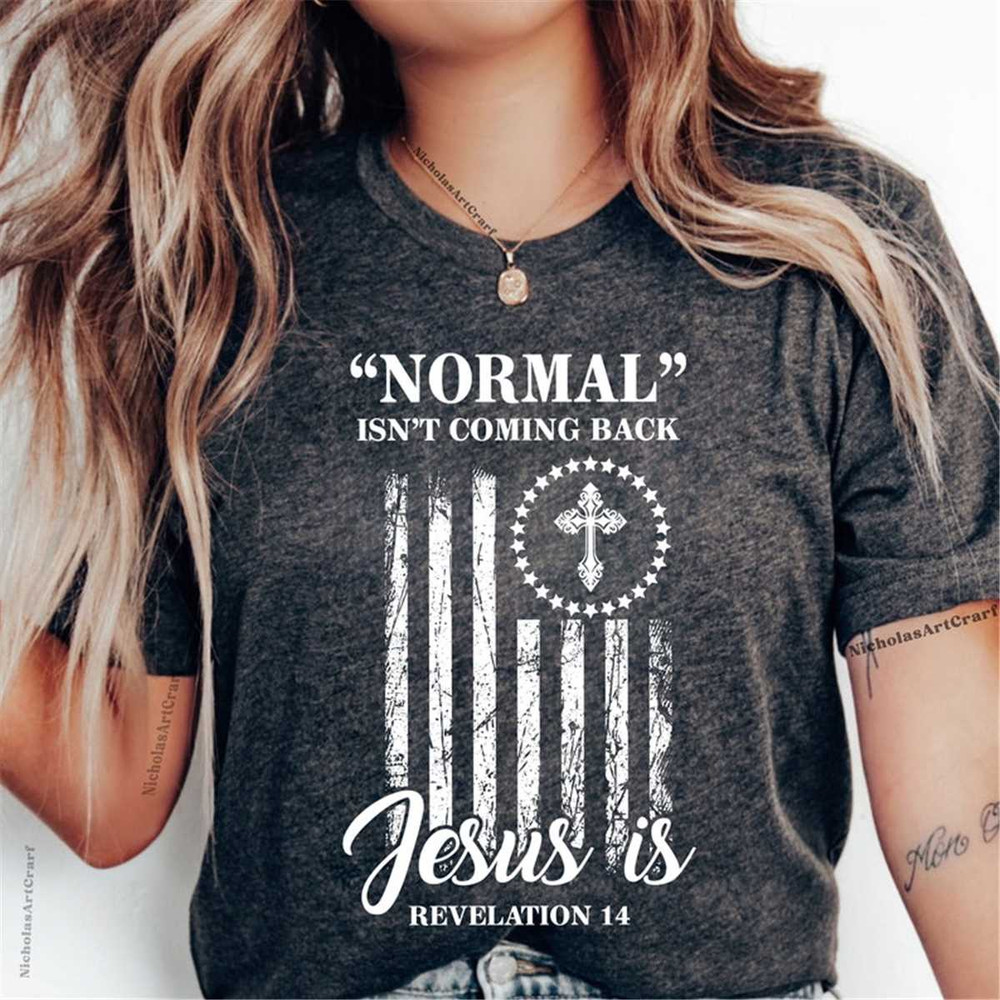 MR-246202315018-inspirational-shirt-american-flag-tshirt-normal-isnt-image-1.jpg