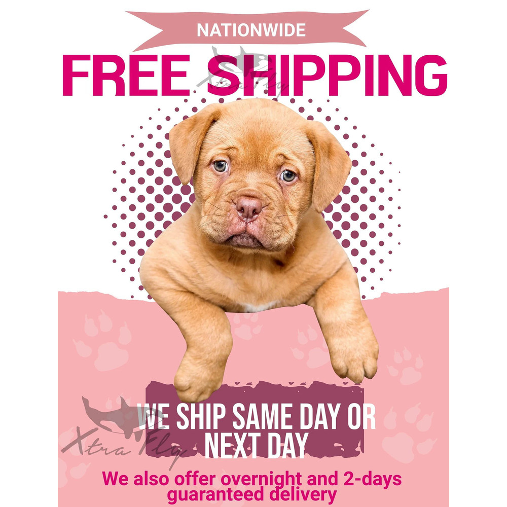 Free Shipping He's My King She's My Queen Silver Gold Crown Matching Couples Family Husband Wife Men Women Crewneck V-Neck T-shirt Black - 4.jpg