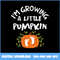 246-I’m-Growing-A-Little--Pumpkin.jpeg