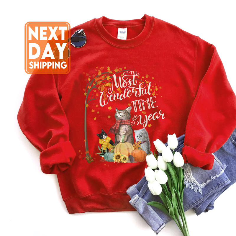 It's the Most Wonderful Time of the Year Cat Lover Halloween Sweatshirt, Fall Hoodie, Spooky Crewneck - 3.jpg