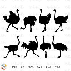 Ostrich Svg, Ostrich Silhouette, Ostrich Cricut, Ostrich Stencil Dxf, Ostrich Templates Svg, Ostrich Set
